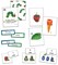 World of Eric Carle The Very Hungry Caterpillar Spanish Flash Cards for Toddlers, 65 Bilingual English and Spanish Flash Cards for Kids Covering The Very Hungry Caterpillar Storybook, Numbers & More